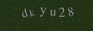 Validation image