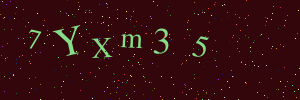 Validation image